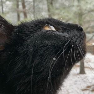 Meet your Posher, Beverley